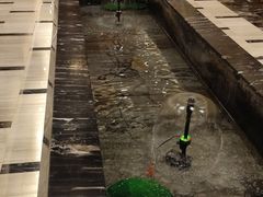 -蓝港海鲜厨房(金水路店)
