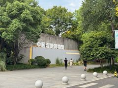 -穿越·外婆家(西溪天堂店)