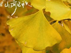 -辽宁大学(崇山校区)