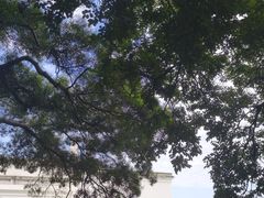 -船政文化景区-罗星塔公园