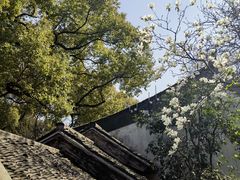 -惠山古镇·寄畅园