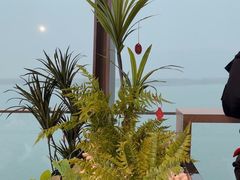 -抱抱地球咖啡馆(国家海洋博物馆店)