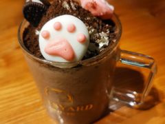 -猫小院猫主题餐厅(三里屯店)
