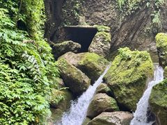 -青城山