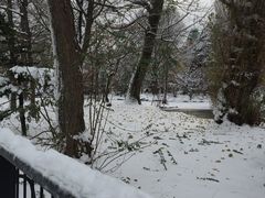 -北海道厅旧本厅舍(旧本庁舎)