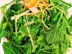 丝瓜尖儿-渔娘渔家丹东海鲜(东直门店)