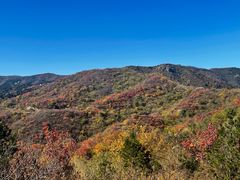 -北京西山国家森林公园