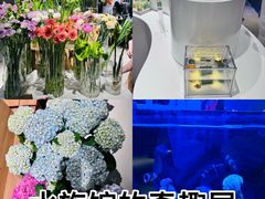 -瑞虹新天地月亮湾