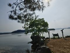 -东湖落雁景区
