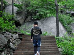 -大岭沟猕猴桃谷风景区