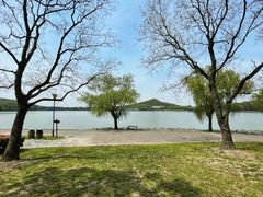 -上海月湖雕塑公园