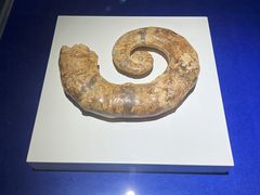 -贝壳王国博物馆