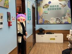 -瑞派·关忠动物医院·异宠专科·犬猫肿瘤·皮肤专科(望京店)