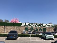 -莫子山公园