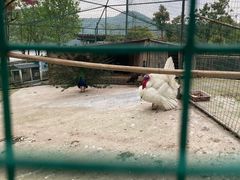 -宁波九龙湖开元度假村