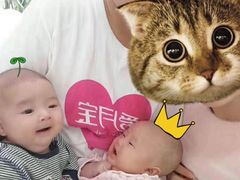 -爱月宝月嫂育儿嫂母婴