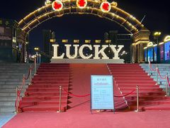 -武汉知音号