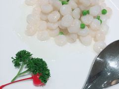 清炒河虾仁-新吉士·上海菜(浦东LCM置汇旭辉店)