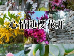 -石老人观光园