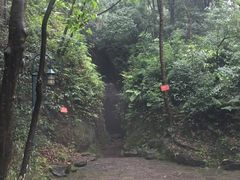 -杭州黄龙洞
