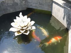 -西安市广仁寺