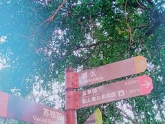 -深圳仙湖植物园