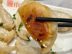 鲜肉锅贴-小姜锅贴(凤凰街店)