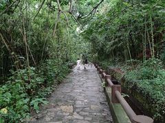 -黄陂区野村谷景区