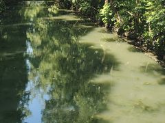 -上海滨江森林公园