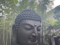 -杭州植物园