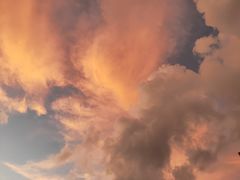 -鑫日千里马朝鲜族小馆(总店)