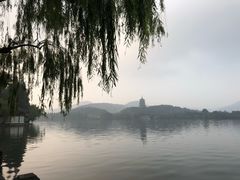 景观位-杭州西湖柳莺里酒店·闻莺厅