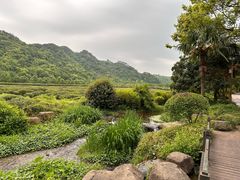 -中国茶叶博物馆(双峰馆区)