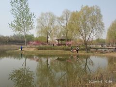 -大兴滨河森林公园