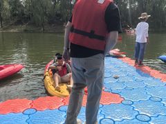 -黄海国家森林公园