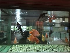 -厦门悦华酒店