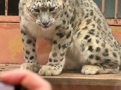 -青藏高原野生动物园