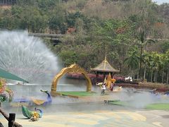 -西双版纳原始森林公园