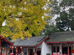 -金堂县云顶石城风景区
