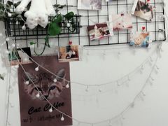 -豆老板的猫咖啡(碑林博物馆店)