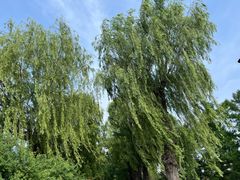 -长春市南湖公园