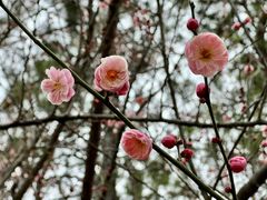 -白塘生态植物园