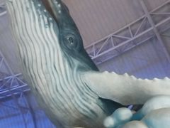 -烟台海昌鲸鲨海洋公园