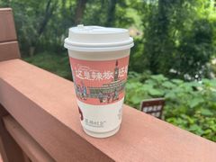-茶颜悦色(岳麓山顶店)