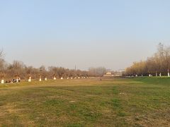 -汉长安城未央宫国家考古遗址公园