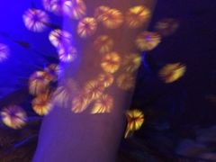 iphone_upload_pic-宝丽金大酒店·洗浴中心
