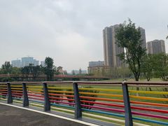 -府河摄影公园