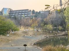 -北京中信金陵酒店