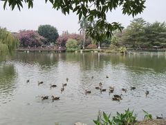 -海珠湖公园