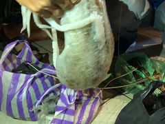 -仙本那渔人码头餐厅